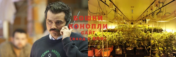 каннабис Балахна