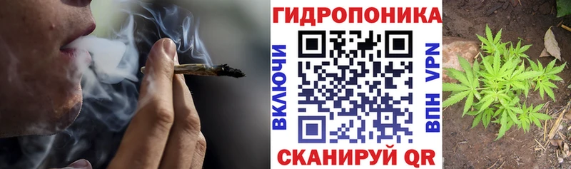 Купить где Ефремов Бошки марихуана Amnesia